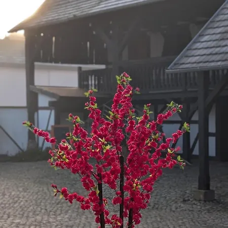 Les Perles Du Ried - 4 - Proche Europapark شقة