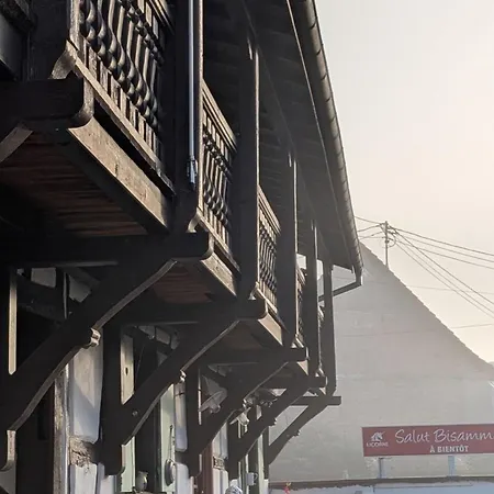 Les Perles Du Ried - 4 - Proche Europapark شقة