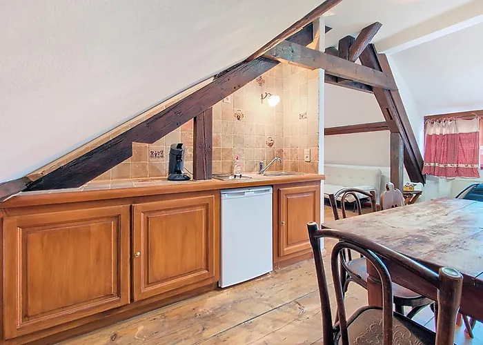 Les Perles Du Ried - 4 - Proche Europapark