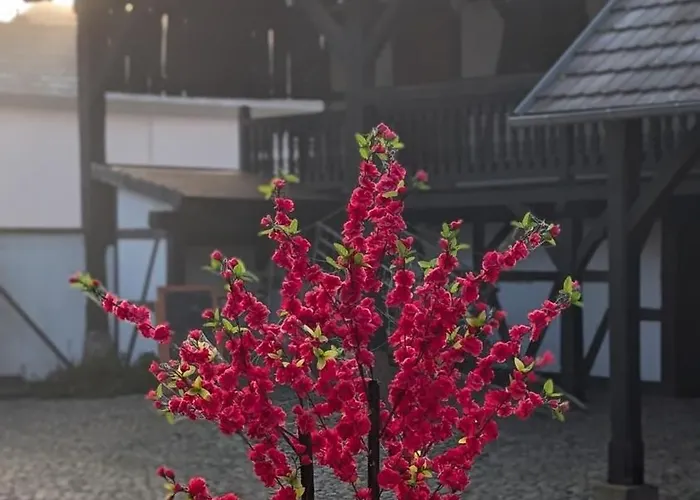 Les Perles Du Ried - 4 - Proche Europapark Appartamento